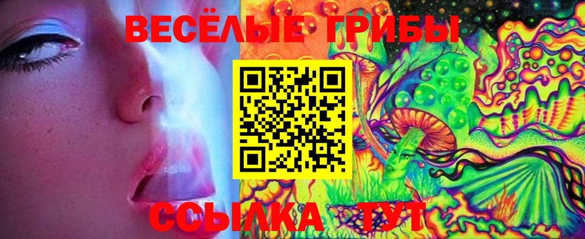Галлюциногенные грибы Cubensis Вятские Поляны