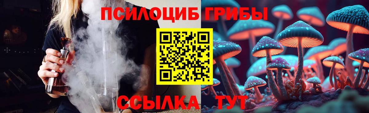 Галлюциногенные грибы Cubensis  Вход с VPN  Псилоцибиновые грибы ЛСД  Вятские Поляны 